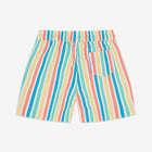 Multi-stripe UV Protective Swim Shorts. Close-up rear view of the shorts, featuring vertical colourful stripes and a back pocket.